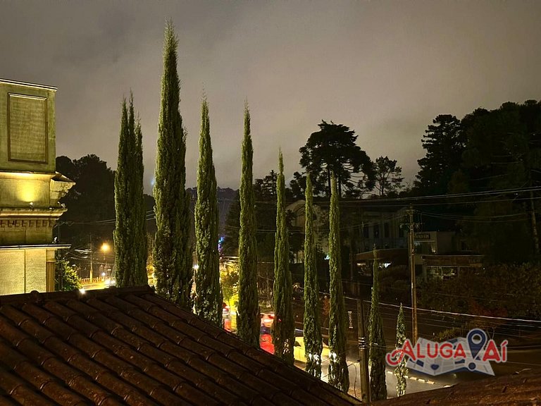 Aluga aí Leonardo da Vinci 207