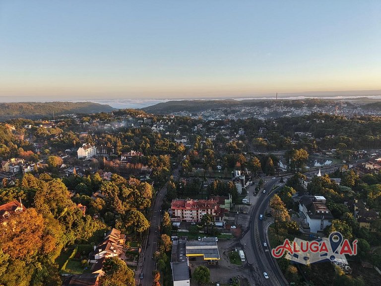 Aluga aí Leonardo da Vinci 207