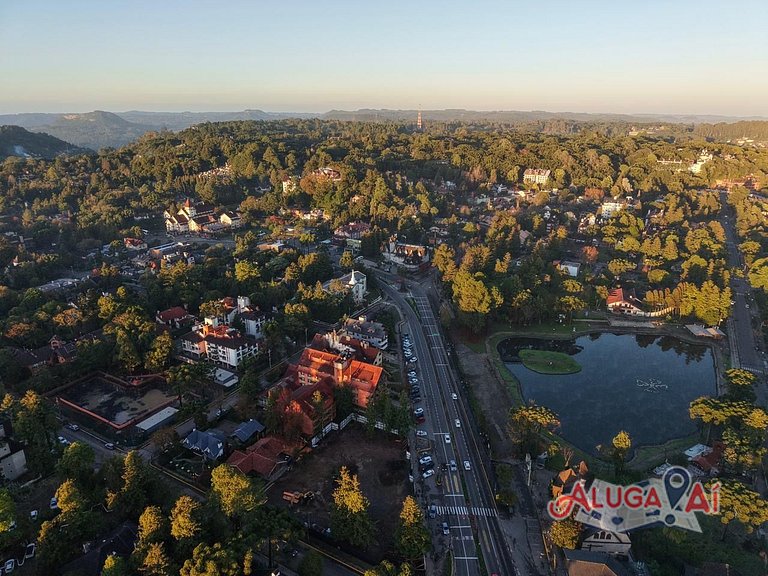 Aluga aí Leonardo da Vinci 207