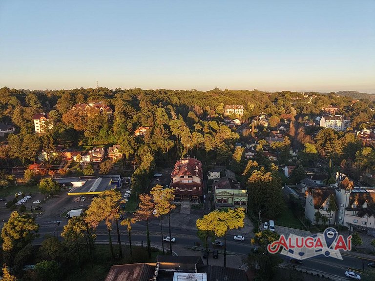 Aluga aí Leonardo da Vinci 207